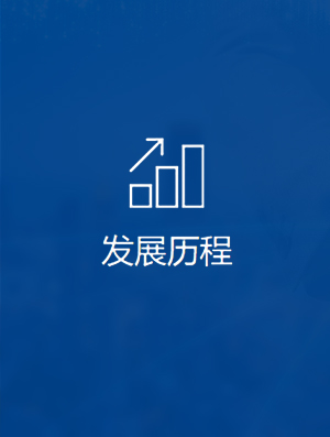 发展历程